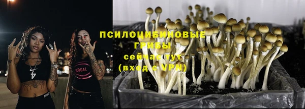 бошки Арсеньев