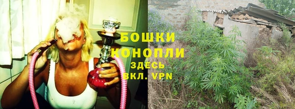 бошки Арсеньев