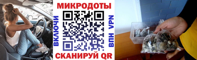 Псилоцибиновые грибы мицелий Нефтекумск
