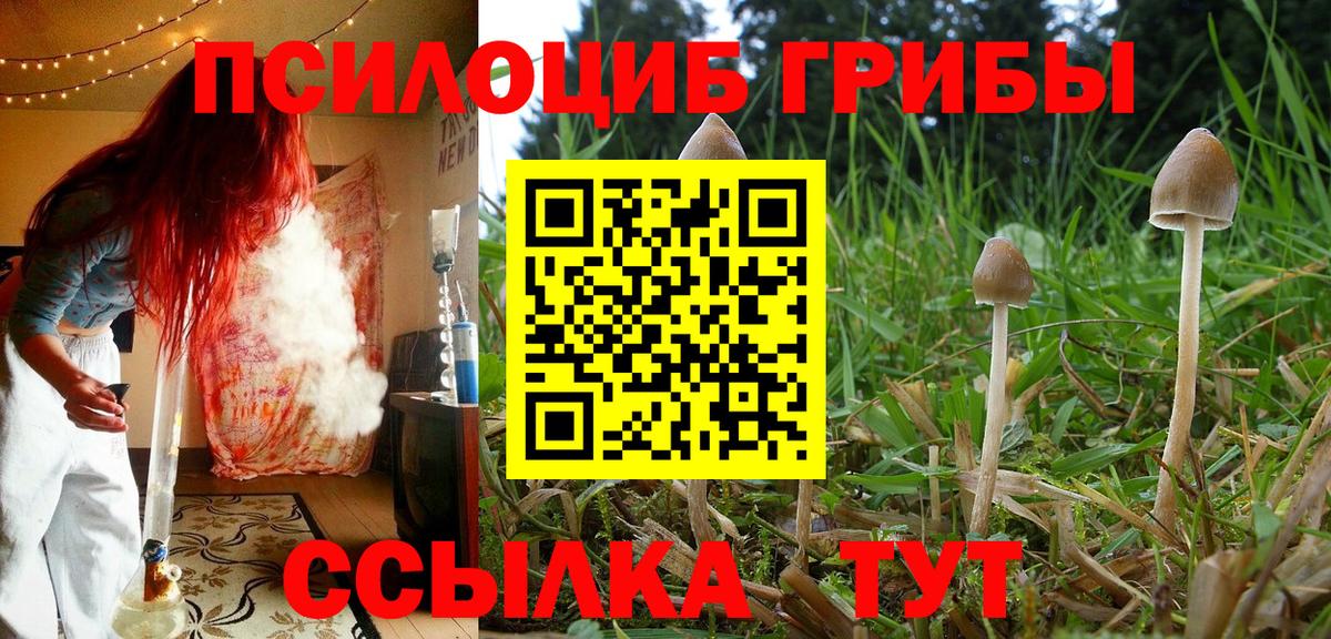 Нефтекумск  Псилоцибиновые грибы мухоморы  Псилоцибиновые грибы прущие грибы  Вход с VPN 